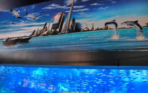 Dubai Stadtbesichtigung, Dubai Mall, Vereinigte Arabische Emirate 22.10.11