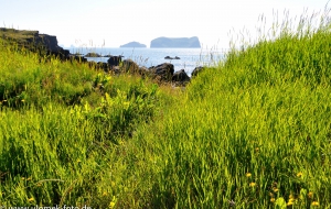 Vestmannaeyjear Inseln - Eine Rundwanderung