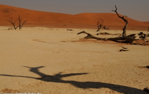 Sossus Vlei und Death Veil Namibia 2013