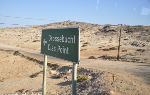 Diaz Point Namibia 2013