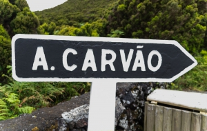 Algar do Carvao, sehr große Lavahöhle mit sichtbarem Kraterausblick, und Kratersee am Grund. , Terceira
