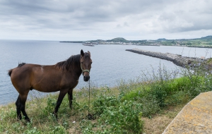 Praia da Vitoria Stadtbesichtigung auf Terceira