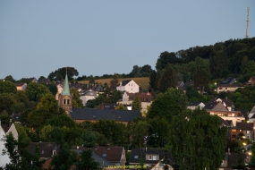 D53_8478