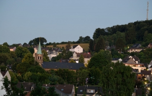 D53_8478