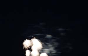 D53_8561