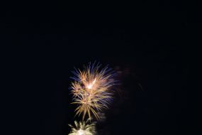 D53_8566