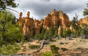 Zion Nationalpark, Viewpoint, über Colorado Plateau zum Red Canyon und Bryce Canyon