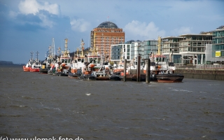 MGCC Abschlußfeier 2017 Hamburg