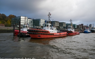 MGCC Abschlußfeier 2017 Hamburg