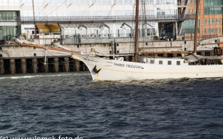 MGCC Abschlußfeier 2017 Hamburg
