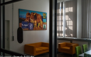 Zeche Ewald Landschaftspark Hoheward