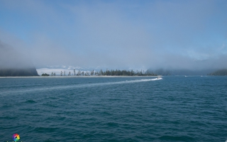 Alaska Seward, Bootsfahrt um Fox Island