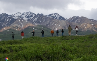 Denali Nationalpark Road bis Meile 92