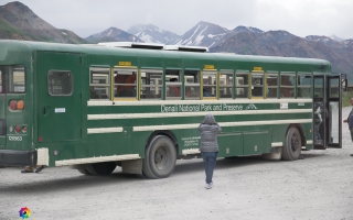 Denali Nationalpark Road bis Meile 92