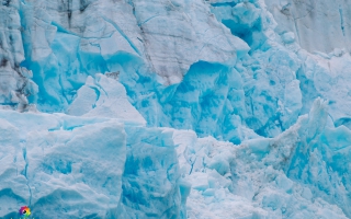 von Valdez zum Meares Gletscher und zurück