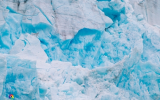 von Valdez zum Meares Gletscher und zurück