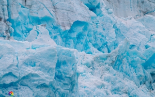 von Valdez zum Meares Gletscher und zurück