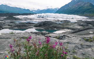 Matanuska Glacier bei Sheep Mountain Area