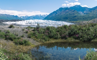 Matanuska Glacier bei Sheep Mountain Area