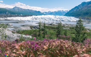 Matanuska Glacier bei Sheep Mountain Area