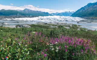 Matanuska Glacier bei Sheep Mountain Area