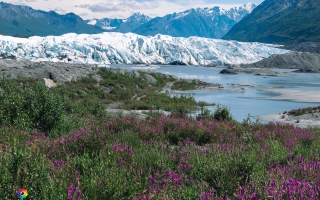 Matanuska Glacier bei Sheep Mountain Area