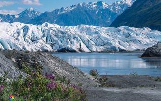 Matanuska Glacier bei Sheep Mountain Area