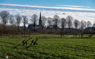 Rheindamm Nähe Xanten 30.12.19