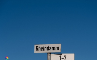 Rheindamm Nähe Xanten 30.12.19