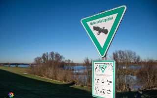 Rheindamm Nähe Xanten 30.12.19