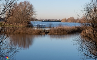 Rheindamm Nähe Xanten 30.12.19