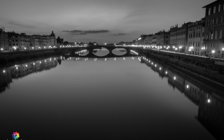 D75_1797