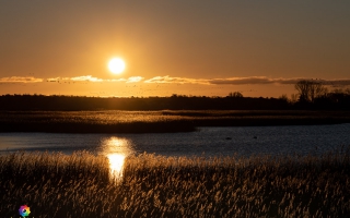 Zingst Sonnenaufgang 05.02.2020