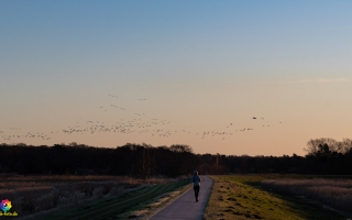 Zingst Sonnenaufgang 05.02.2020