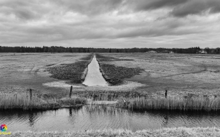 Zingst  Wanderung 06.02.2020