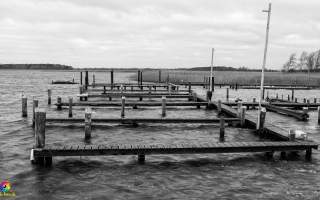 Zingst  Wanderung 06.02.2020