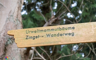 Zingst  Wanderung 06.02.2020