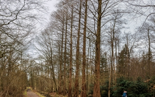 Zingst  Wanderung 06.02.2020
