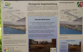 Siegauen und Siegmündung Wanderung 24.05.2020