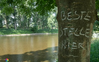Siegauen und Siegmündung Wanderung 24.05.2020