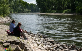 Siegauen und Siegmündung Wanderung 24.05.2020
