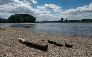 Siegauen und Siegmündung Wanderung 24.05.2020