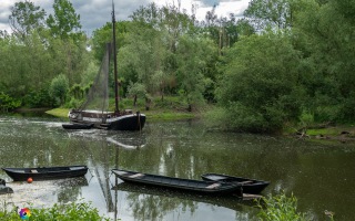 Siegauen und Siegmündung Wanderung 24.05.2020