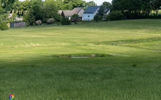 Ennepe Quellgebiet bei Halver, Wanderung am 31.05.2020