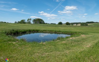 Ennepe Quellgebiet bei Halver, Wanderung am 31.05.2020