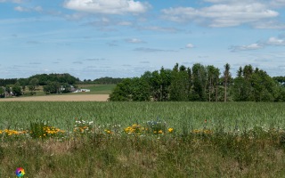 Ennepe Quellgebiet bei Halver, Wanderung am 31.05.2020