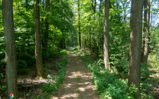 Ennepe Quellgebiet bei Halver, Wanderung am 31.05.2020