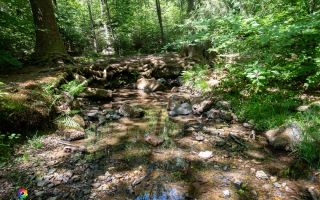 Ennepe Quellgebiet bei Halver, Wanderung am 31.05.2020