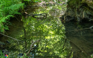 Ennepe Quellgebiet bei Halver, Wanderung am 31.05.2020
