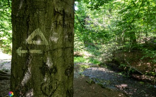 Ennepe Quellgebiet bei Halver, Wanderung am 31.05.2020